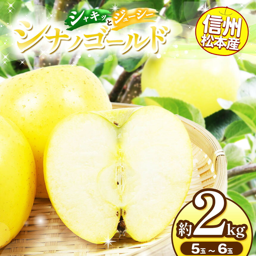 【ふるさと納税】先行受付 シナノゴールド りんご 通常品 約2kg 2026年10月下旬から発送予定 | 長野県松本市梓川産 黄色いりんご サクサク 5～6玉 甘みと酸味 果汁 生産者直売所アルプス市場 国産 果物 フルーツ 林檎