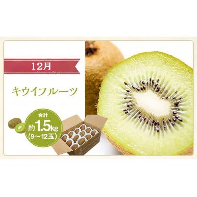 ふるさと納税 中央市 【発送月固定定期便】山梨県産 フルーツ【桃&シャインマスカット&キウイフルーツ】全3回 |  | 03