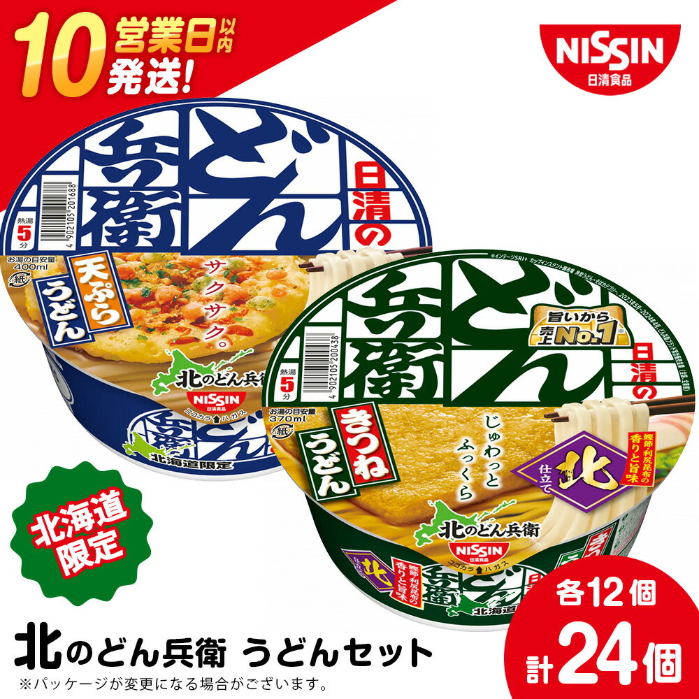【ふるさと納税】 日清 北のどん兵衛 うどんセット＜天ぷら・きつね＞各1箱・合計2箱 日清 インスタント麺 インスタントうどん インスタント うどん カップうどん 日清うどん【北海道千歳市】ギフト ふるさと納税
