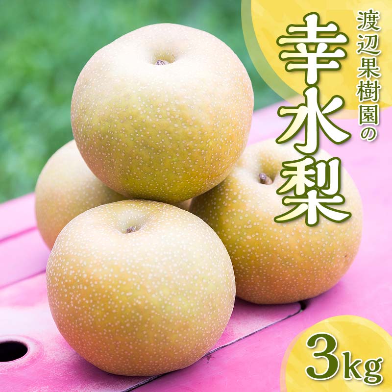 【ふるさと納税】渡辺果樹園の幸水梨 約3kg＜8月中旬〜8月下旬にお届け＞ F7X-0885