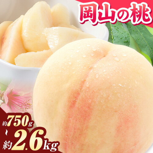 【ふるさと納税】【令和7年度産先行予約】桃 岡山の桃 約750g 約1kg 約2.6kg《2025年6月下旬-9月上旬頃出荷》 ご家庭用 訳あり 白桃 岡山 はくとう スイーツ フルーツ 果物 デザート 旬 モモ もも 先行予約 送料無料 果物 岡山県 笠岡市 清水白桃 白鳳 白麗 クール便