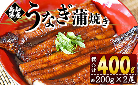 うなぎ 蒲焼き 計400ｇ 約200g×2尾 うなぎ うなぎ うなぎ うなぎ うなぎ うなぎ うなぎ うなぎ うなぎ うなぎ うなぎ うなぎ うなぎ うなぎ うなぎ うなぎ うなぎ うなぎ うなぎ うなぎ うなぎ うなぎ うなぎ うなぎ うなぎ うなぎ うなぎ うなぎ うなぎ うなぎ うなぎ うなぎ うなぎ うなぎ うなぎ うなぎ うなぎ うなぎ うなぎ うなぎ うなぎ うなぎ うなぎ うなぎ うなぎ うなぎ うなぎ うなぎ うなぎ うなぎ うなぎ うなぎ うなぎ うなぎ うなぎ うなぎ うなぎ うなぎ う