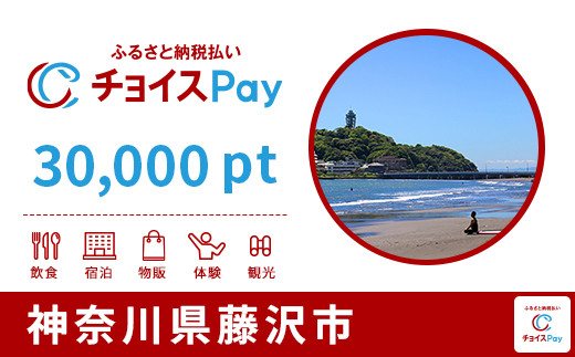 
            藤沢市チョイスPay 30,000pt【会員限定のお礼の品】
          