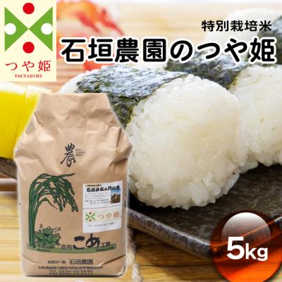 ふるさと納税 庄内町 石垣農園の特別栽培米つや姫5kg 令和7年産 2025年産 ブランド米