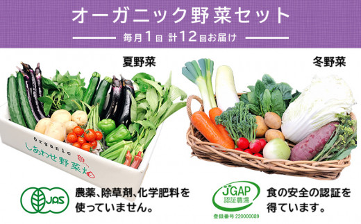 
１２４０　野菜 オーガニック野菜セット 有機JAS認証 旬の有機野菜 毎月1回 計１２回お届け 定期便 しあわせ野菜畑
