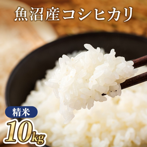 【令和8年産】魚沼産コシヒカリ 特別栽培米 (精米) 10kg