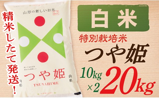 【令和8年産】【白米】山形県産つや姫20kg(10kg×2袋)
