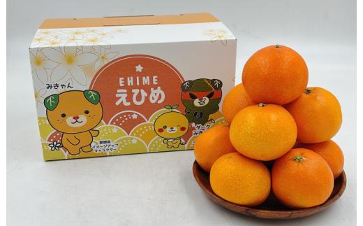 紅まどんな 2.5kg みきゃん箱 [K002940]