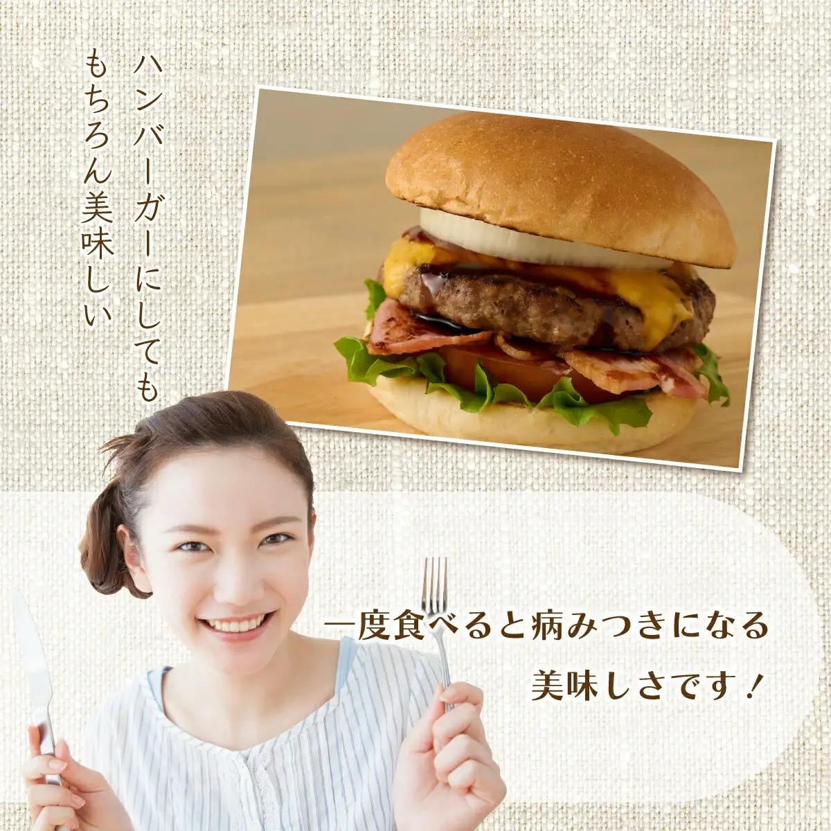 ハンバーガー屋の本気ハンバーグ960ｇ（120ｇ×8個） ＜ 国産 高知県産 牛肉 豚肉 ブランド肉 希少 土佐あかうし 四万十ポーク ＞