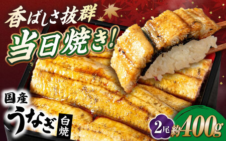 国産活うなぎ2尾（白焼）[AQDF011] 鰻 鰻 鰻 鰻 鰻 鰻 鰻