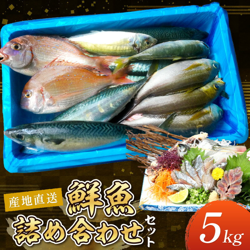 【ふるさと納税】御坊産　鮮魚セット5kg 鮮魚 天然 詰め合わせ 朝どれ 冷蔵 新鮮 アジ サバ タチウオ 太刀魚 タイ 漁港 和歌山県産 御坊産 送料無料【配送不可地域】沖縄・北海道・東北・九州 発送時期が選べる