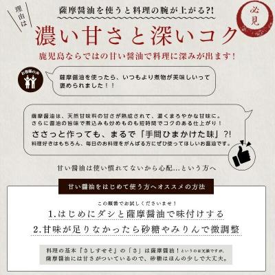 ふるさと納税 いちき串木野市 サクラカネヨ 薩摩醤油 6本セット (1L×6本) |  | 03