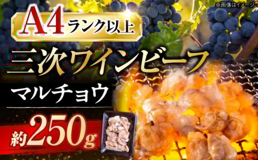 肉 三次ワインビーフ マルチョウ 250g 和牛 ホルモン 黒毛和牛 もつ 牛肉 モツ お肉 国産 焼肉 広島県産 三次市/みーとのば [APAX004]