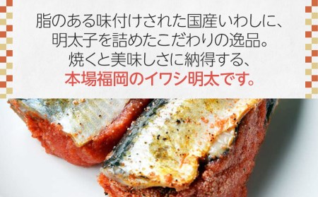 いわし ピリ辛 いわし明太 20尾