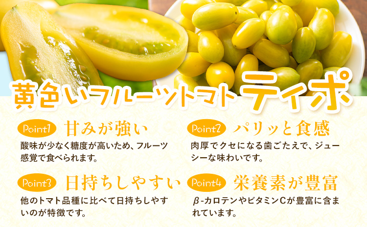 パリッと食感の黄色いフルーツトマト ティポ 1.8kg (1箱) ジャム さっぱり 黄色い トマト 野菜 茨城県産 結城市産 国産 さっぱり 酸味が少ない 日持ち 食材 サラダ トッピング 料理《10