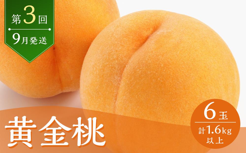 桃 2024年 先行予約 岡山の旬の桃 定期便 3回コース もも モモ 岡山県産 国産 果物 ギフト