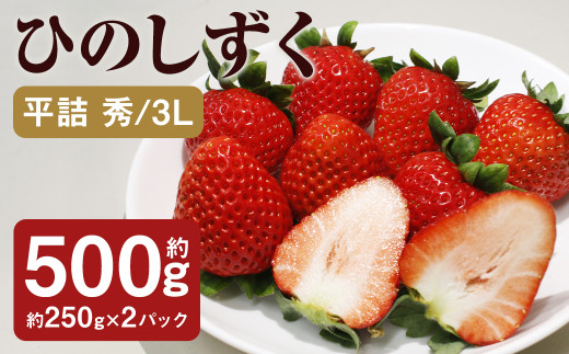 ひのしずく 平詰 秀/3L 1箱（約250g×2パック）《30日以内出荷予定(土日祝除く)》 フルーツ 果物 くだもの いちご イチゴ 苺 菊池市産 熊本県産