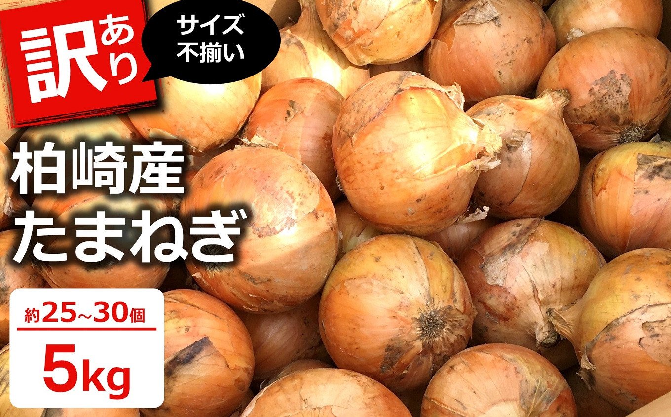 
            【先行予約・6月中旬～発送予定】たまねぎ サイズ不揃い 5kg（約25～30個入） 柏崎産 訳あり 【数量限定】[Y0017]
          