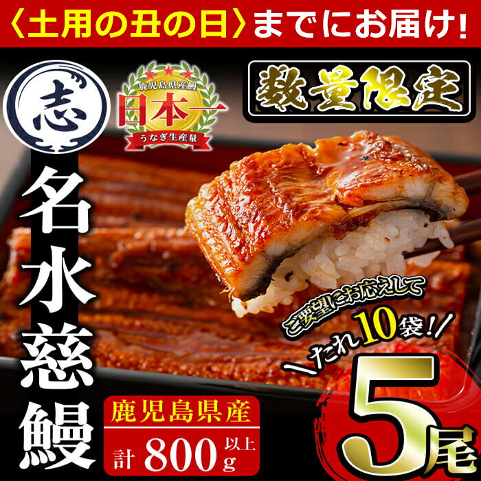 【丑の日までにお届け！7月20日入金まで】【緊急支援企画】【数量限定】鹿児島県産うなぎ蒲焼 名水慈鰻5尾(計800g以上・1尾あたり156〜185g以上) 鰻 ウナギ 5尾 国産 蒲焼 かばやき 冷凍 うな重 ひつまぶし タレ 山椒 ランキング 人気【鹿児島鰻】b