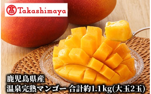 
                  ＜高島屋選定品＞鹿児島県産温泉完熟マンゴー合計約1.1kg(大玉2玉)黒化粧箱入り【2026年7～8月頃発送】(IB001-002/59D1835)
                
