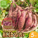 【ふるさと納税】さつまいも「紅はるか」5kg