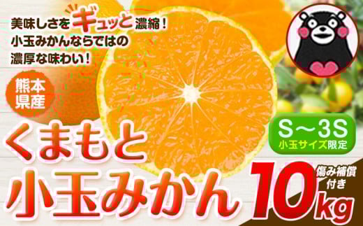 訳あり みかん 小玉みかん くまもと小玉みかん  10kg 秋 旬 不揃い 傷 ご家庭用 SDGs 小玉 たっぷり 熊本県 産 S-3Sサイズ フルーツ 旬 柑橘 熊本県産 温州みかん《1月中旬-2月中旬頃出荷》