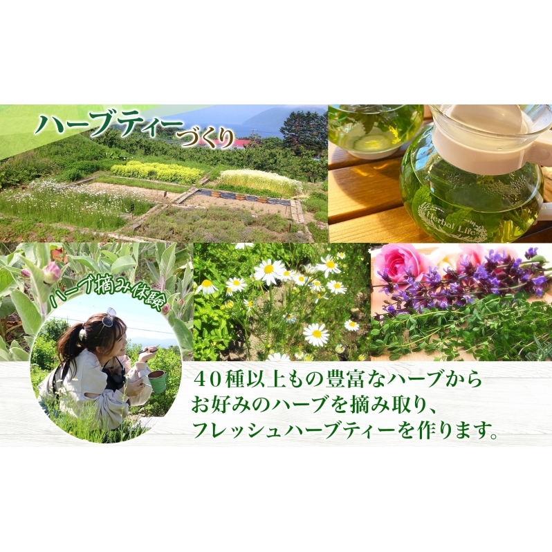 北海道 アロマ ウォーター 蒸留 摘みたて ハーブティー 体験 ハーブ フレッシュ オリジナル  ハーブ畑 天然  リラックス 癒し リラクゼーション ハーバルランチ 送料無料 洞爺湖_イメージ3