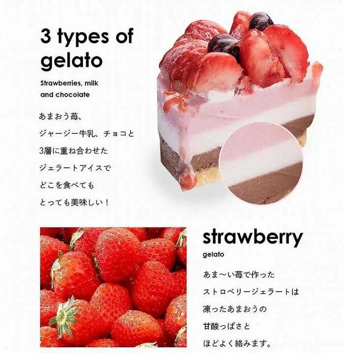 【福岡市】あまおう苺ゴロゴロジェラートアイスケーキ 1個（5号 15cm径）ストロベリーフィールズ | アイス アイスケーキ 冷凍 スイーツ デザート ジェラート 5号 おすすめ 人気 ギフト プレゼ