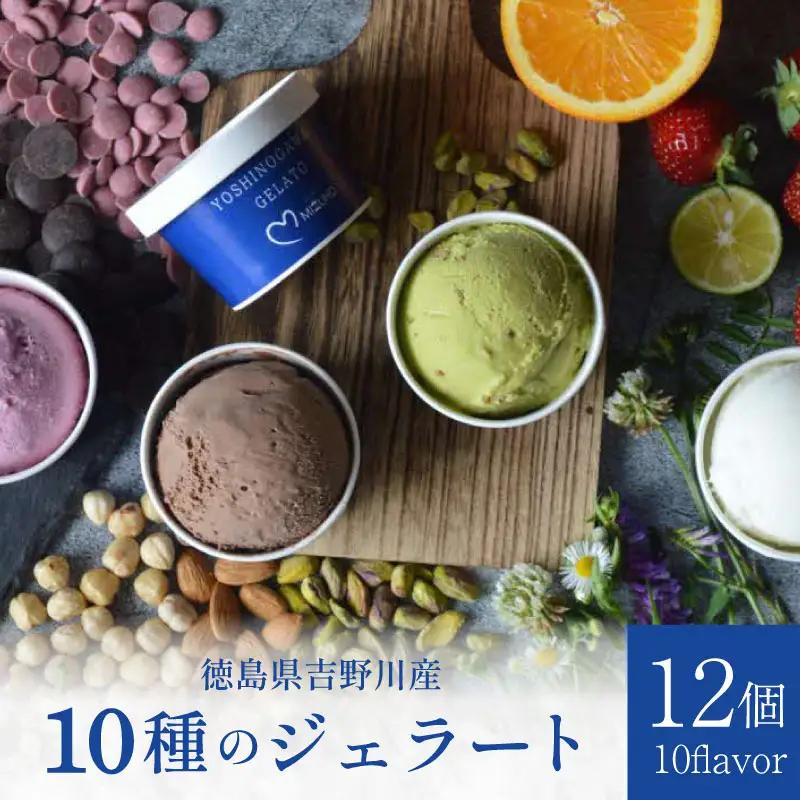 アイス ジェラート 食べ比べ 12個 10種類 ジェラート