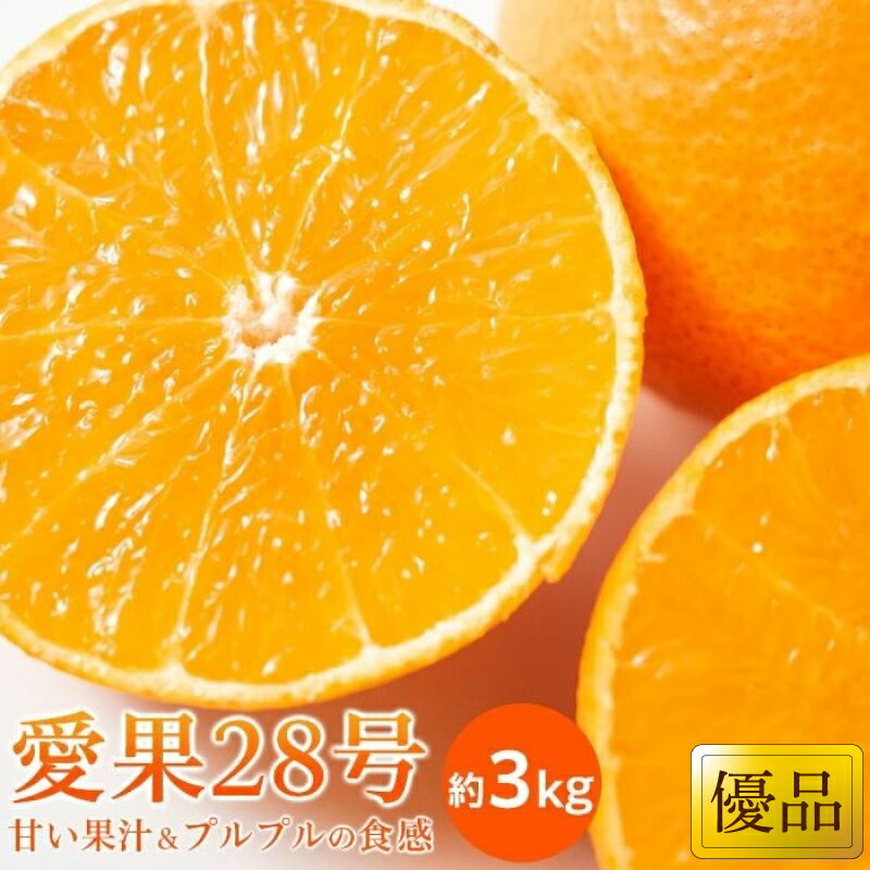 【ふるさと納税】 【11月中旬から発送】 あいか 優品 約3kg | 愛果28号 まどんな 柑橘 みかん 果物 くだもの フルーツ おすすめ 高級 人気 お取り寄せ グルメ ギフト 期間限定 数量限定 ご当地 愛媛県 松山市 おすすめ