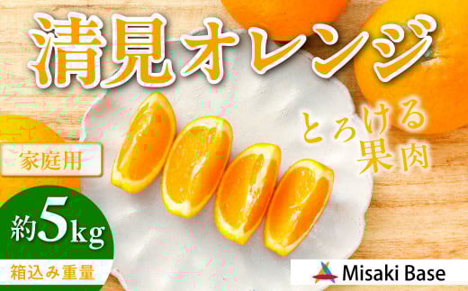 【先行受付】【家庭用】清見オレンジ 5kg ※離島への配送不可 （2026年3月中旬より順次発送）  【 ふるさと納税 人気 おすすめ ランキング みかん 柑橘 ミカン 蜜柑 mikan 果物 清見 清見オレンジ フルーツ 糖度 甘い きよみ タンゴール 温州 オレンジ 家庭用 おすそ分け Misaki Base 愛媛県 伊方町 送料無料 】 IKTAB007 