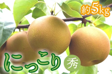 14-8【期間限定】梨（にっこり）秀　約5kg（7玉程度） ｜ なし フルーツ 果物 新鮮 デザート　※2025年10月中旬頃より順次発送予定