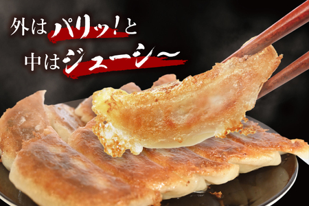 冷凍餃子 80個（20個×4袋） 美明豚 餃子 （茨城県共通返礼品・行方市産）_DS014