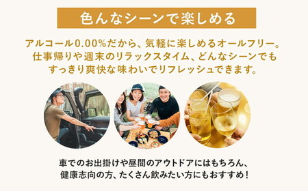 サントリー からだを想うオールフリー（350ml×24本）| 糖質0 糖質ゼロ プリン体0 カロリーゼロ 内臓脂肪 ノンアル ノンアルコール 定期便 ビール セット お歳暮 ケース 箱 缶 詰め合わせ