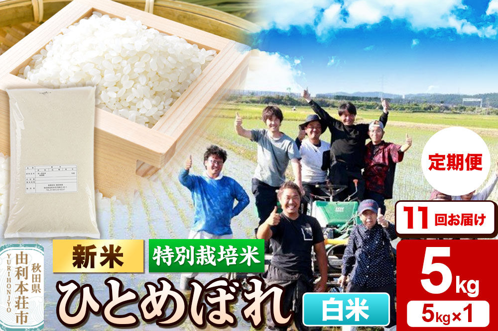 ＜令和8年産 新米＞《定期便11ヶ月》【白米】特別栽培米 ひとめぼれ 5kg 秋田県産 [ひとめぼれ 新米 米 お米 白米 精米 特別栽培米 ブランド米 食卓 おにぎり 秋田県産 秋田]