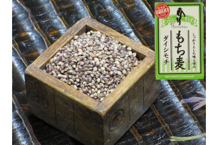 もち麦（ダイシモチ）1600ｇ×2袋 034-B146