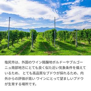 塩尻産 スパークリングワイン 3本セットA
