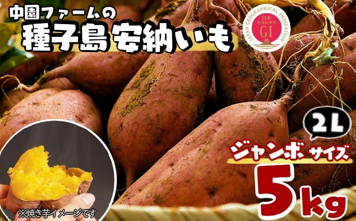 
            種子島 中園ファーム 安納いも ( 生芋 ) 2L ジャンボ サイズ 5kg　NFN458【300pt】 // 安納芋 安納いも発祥の地 本場・安納地域産 糖度 熟成期間 G.I 保護制度 ブランド 金賞 生いも 芋 いも さつまいも
          