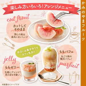 白桃（品種おまかせ）３ｋｇ　0020-2612