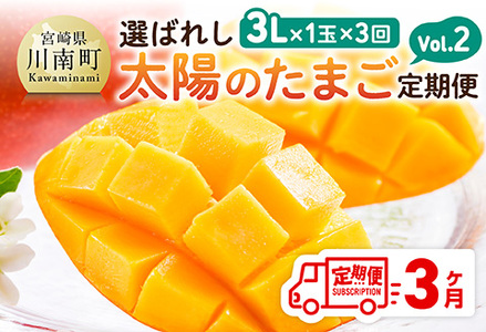 【3ヶ月定期便】選ばれし太陽のたまご定期便Vol.2 果物 マンゴー