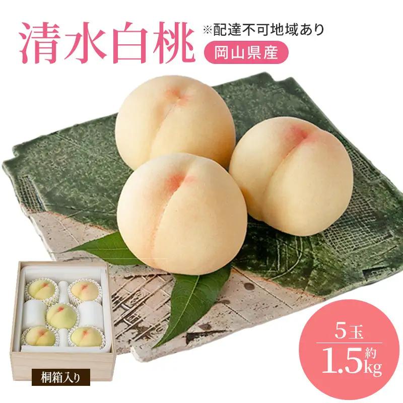 桃 2026年 先行予約 岡山特産 清水白桃 約1.5kg 5玉 桐箱入り 桃