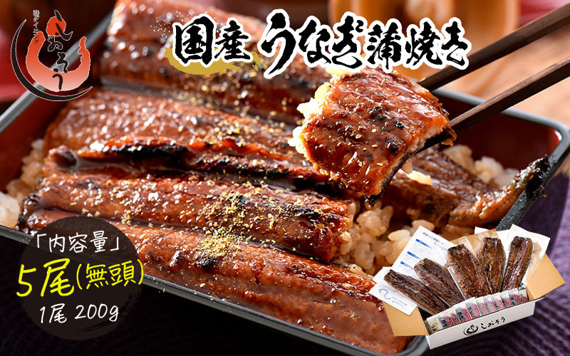 
[053-c003] うなぎ 蒲焼き 無頭 国産 約200g × 5尾【化粧箱入り ギフト 贈答 冷凍 蒲焼 かば焼き ふんわり ふっくら仕上げ ウナギ 鰻 贈り物 プレゼント のし 熨斗 しおそう 塩荘 敦賀 お中元】
