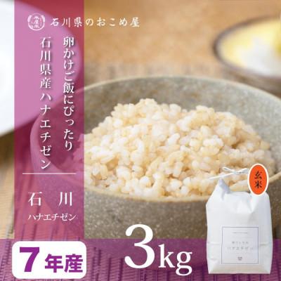 ふるさと納税 野々市市 【軽やかな甘みと食べやすさ】石川県産ハナエチゼン令和7年産玄米 3kg