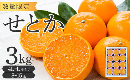 【先行予約】＜数量限定＞せとか3kg（8～15玉）化粧箱付き_K001-018