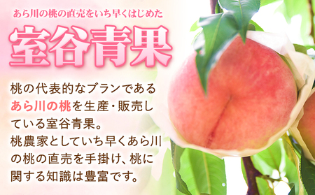 【予約受付】あら川の桃 約1.1kg 室谷青果 《2025年6月下旬-8月中旬頃出荷》 和歌山県 紀の川市