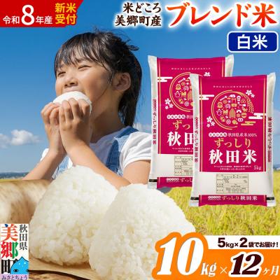 ふるさと納税 美郷町 新米受付 《定期便12ヶ月》ブレンド米【白米】精米 10kg|01_ssn-011012hs