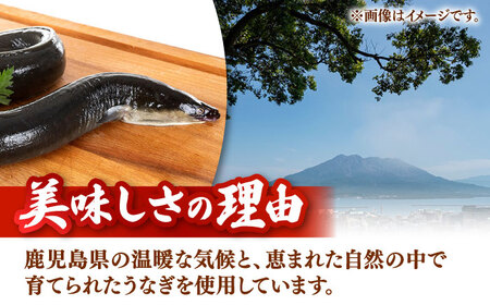 【全12回定期便】国産 うなぎのひつまぶし 70g×5パック　桂川町/山水商事[ADAH039]