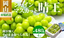 【ふるさと納税】【令和7年発送・先行予約】岡山県産　シャインマスカット(1房480g以上・約2kg・晴王)4房　化粧箱入り　MM-25　※北海道・沖縄県・離島への配送はできません。