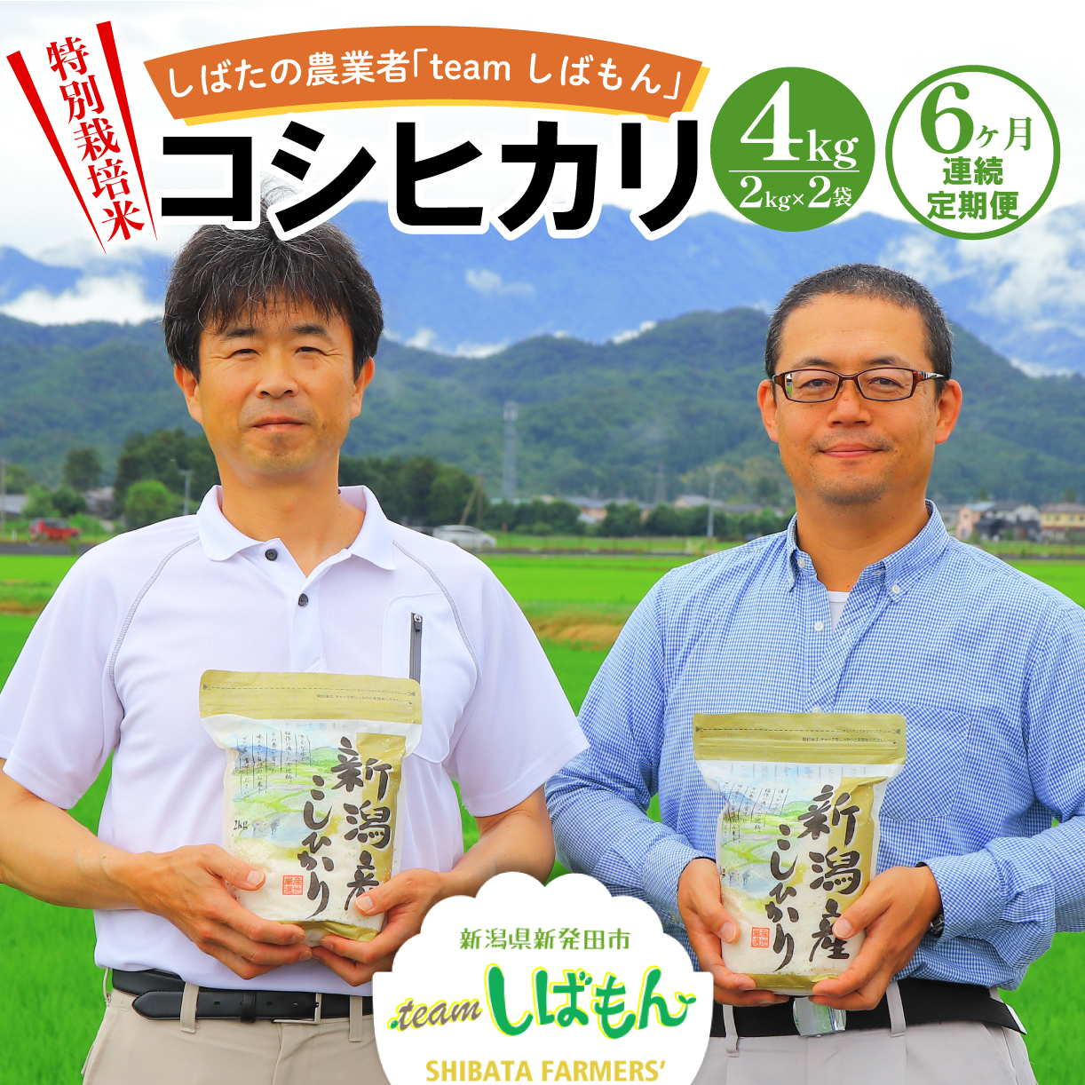 【R7年産先行予約】 新米 定期便 4kg×6ヵ月 特別栽培米コシヒカリ 米 こめ コシヒカリ しばもん D29_02