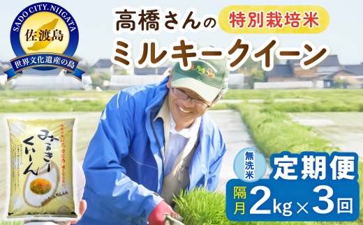 【定期便 令和8年産新米 全3回】 佐渡島産ミルキークイーン 無洗米 2kg 令和8年産新米 特別栽培米 高橋農園 | 新潟県産ミルキークイーン 佐渡産ミルキークイーン ミルキークイーン お米 米 無洗米 むせんまい 精米 おこめ コメ 2キロ にいがた さど 新潟県 佐渡市